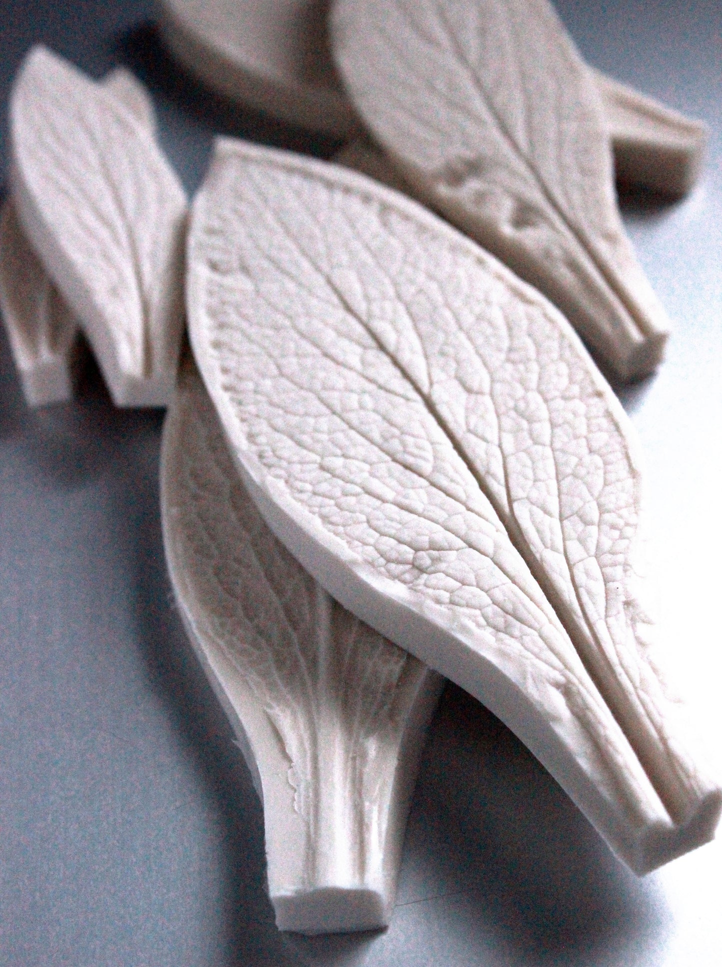 FOXGLOVE LEAF VEINER SET