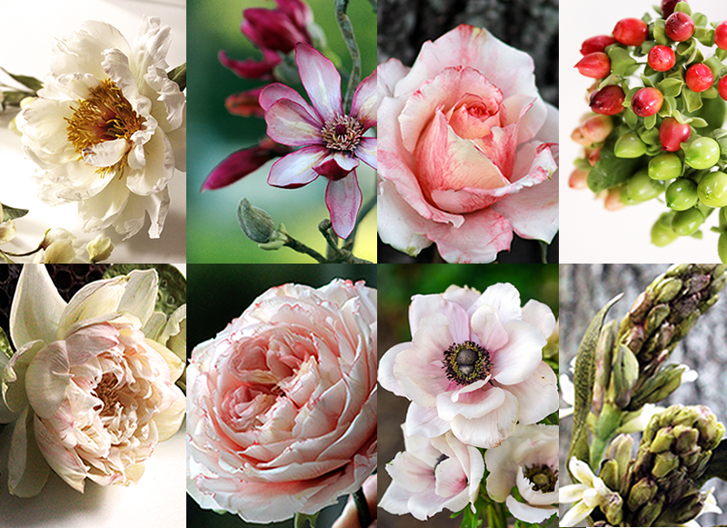 Master Classes 2024: A Floral Journey