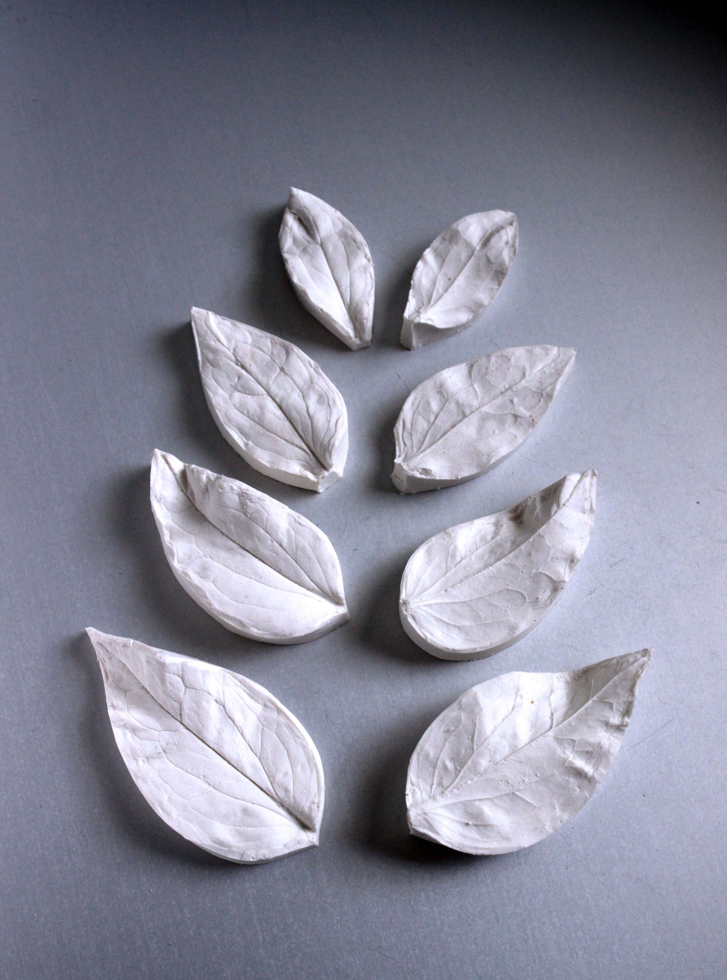 SAFFLOWERS LEAF VEINER SET ©