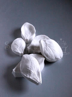 GARDENIA PETAL VEINER SET ©