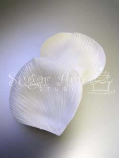 GIANT ROSE PETAL VEINER ©