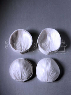HELLEBORE PETAL VEINER SET LARGE