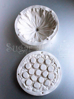 DRIED LOTUS SEED POD X LARGE