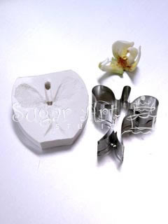 MOTH ORCHID CENTER SET