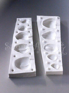 MOTH ORCHID BUDS MOLD