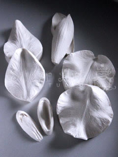CATTLEYA ORCHID VEINER SET ©
