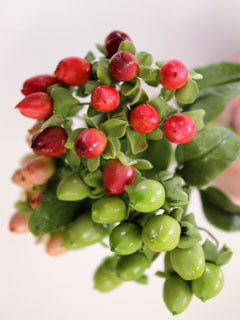HYPERICUM BERRY MOLD (L) ©