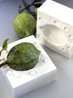 LIME MOLD