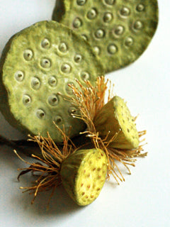 LOTUS PETAL VEINER SET & MOLD