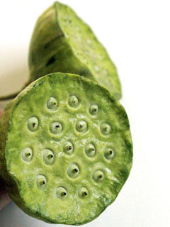 LOTUS SEED POD MOLD SET