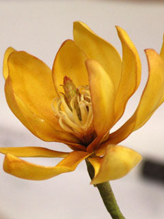 MICHELIA PETAL CUTTER ©