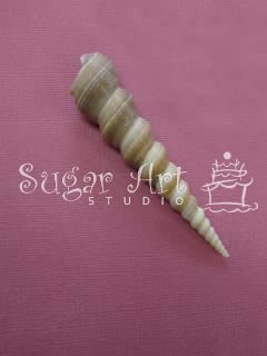 SPIRAL SEA SHELL MOLD