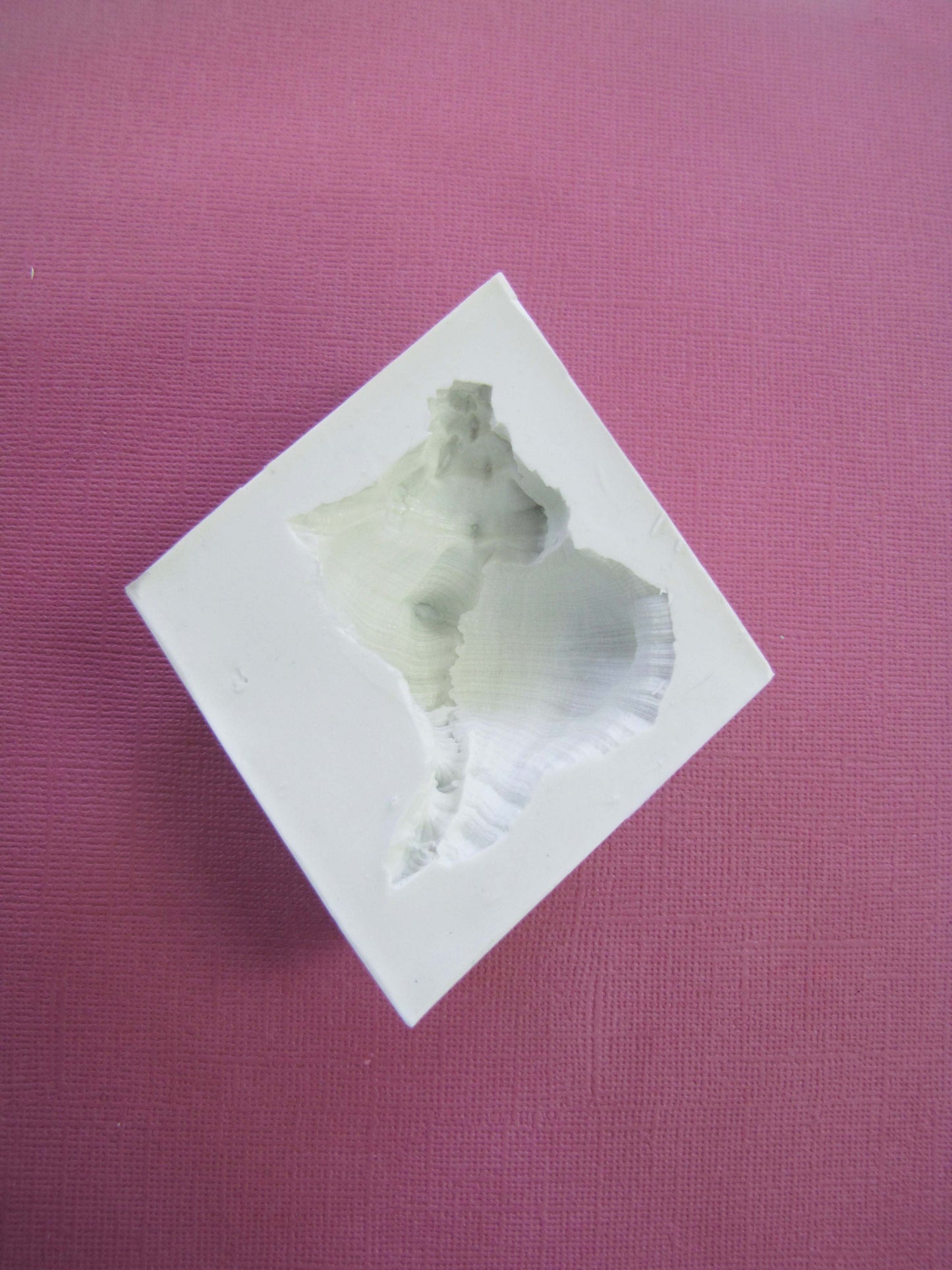 MUREX SHELL MOLD