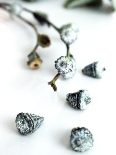 SILVER BELL EUCALYPTUS PODS MOLD (M) ©