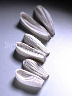 CHRYSANTHEMUM PETAL VEINER SET