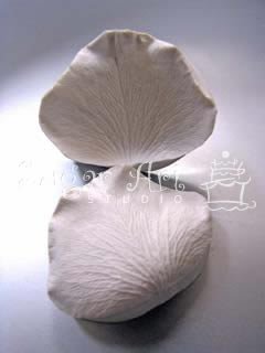 GARDEN ROSE PETAL VEINER ©