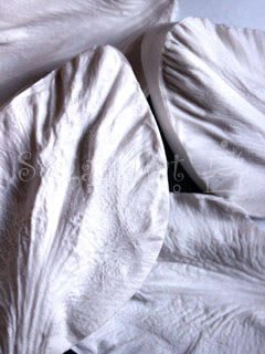 GLADIOLUS TEPAL VEINER SET (M) ©