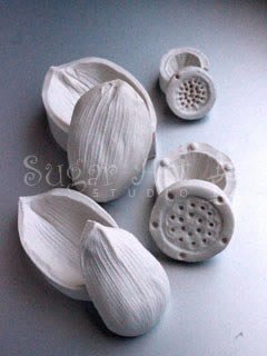 LOTUS PETAL VEINER SET & SEED POD MOLDS