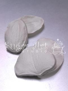 MOTH ORCHID VEINER SET