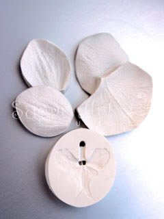 MOTH ORCHID VEINER SET (L)