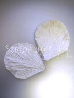 PEONY PETAL VEINER ©