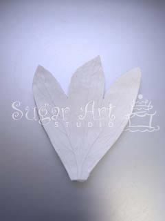 PEONY LEAF VEINER ©