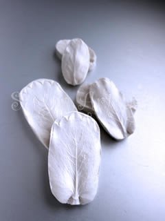 PINCUSHION PROTEA LEAF VEINER SET