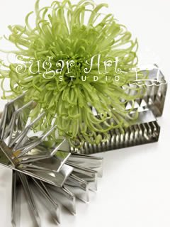 SPIDER MUM CUTTER SET ©