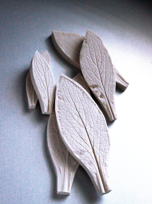 FOXGLOVE LEAF VEINER SET