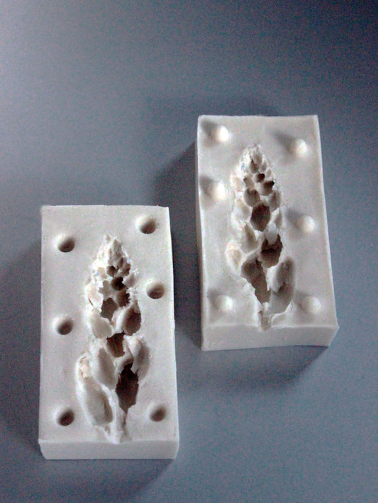 FOXGLOVE BUDS MOLD 2