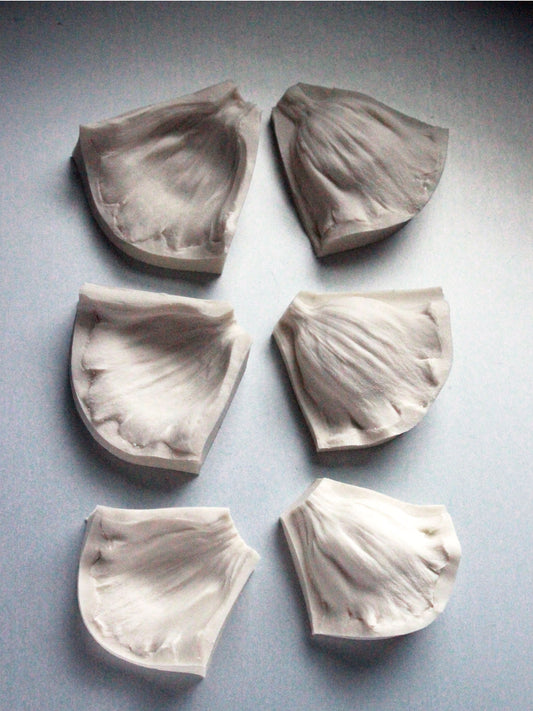 FOXGLOVE PETAL VEINER SET