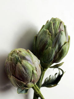 ARTICHOKE PETAL VEINERS