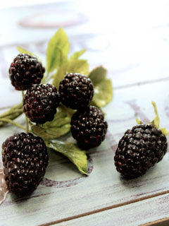 BLACKBERRY LEAF CUTTERS & VEINER SET