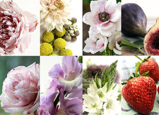 Master Classes 2026: A Floral Journey