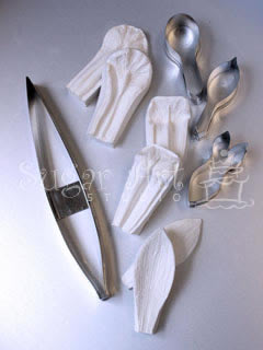 IRIS CUTTER & VEINER SET ©