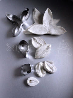 DENDROBIUM ORCHID CUTTER & VEINER SET ©