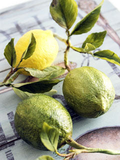 LIME MOLD & CUTTERS SET