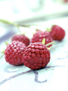 RASPBERRY MOLD