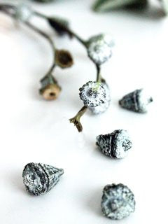 SILVER BELL EUCALYPTUS PODS MOLD (L) ©