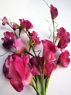 SWEET PEA CUTTERS- LARGE ©