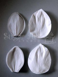HELLEBORE PETAL VEINER SET XLARGE
