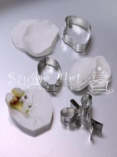 MOTH ORCHID CUTTER & VEINER SET (B)