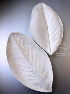 SOUTHERN MAGNOLIA LEAF VEINER